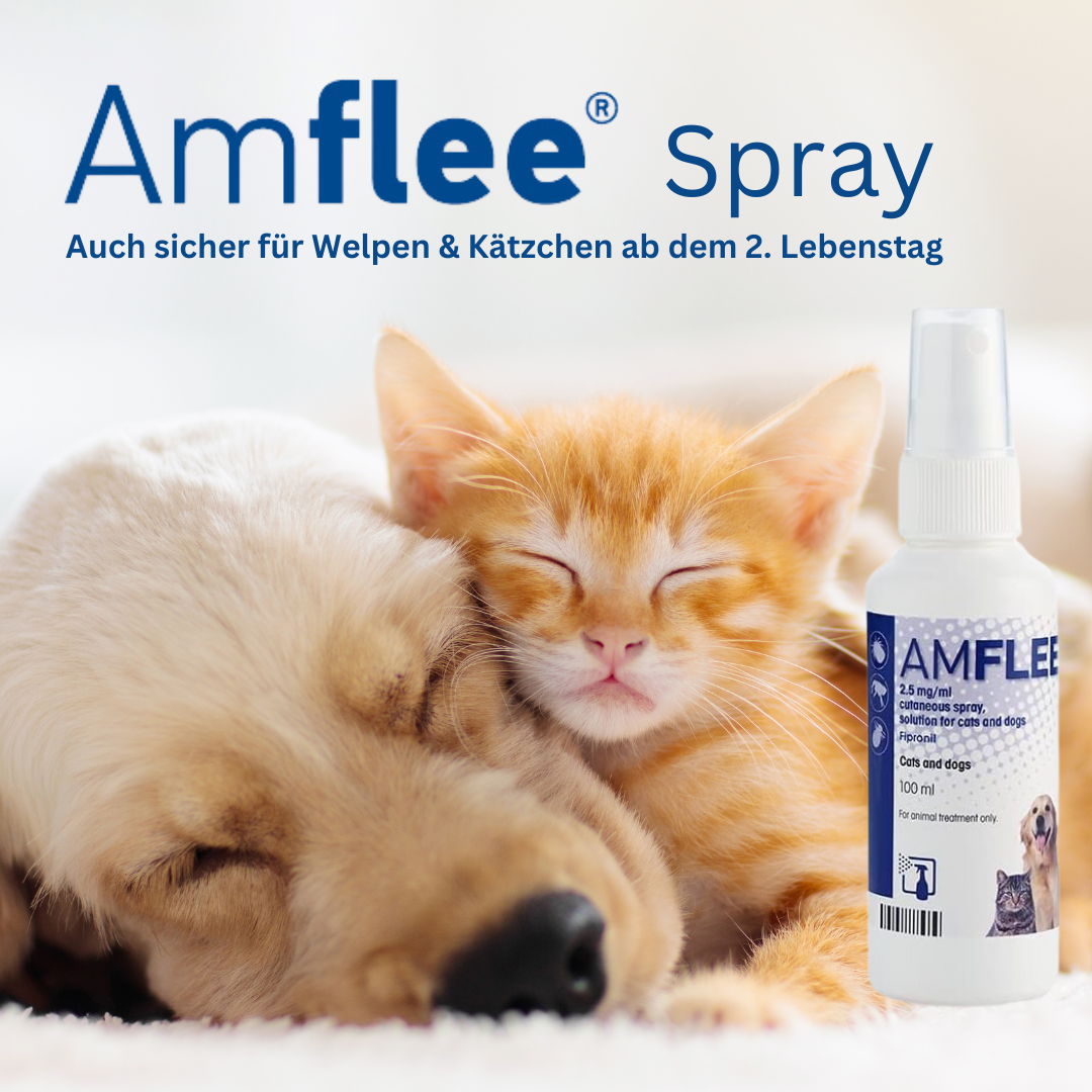 Entspannte Fellnasen mit Amflee Spray.