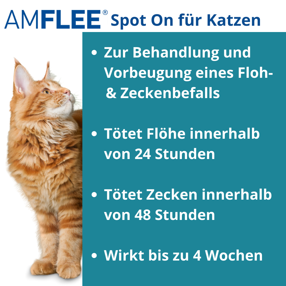 Amflee Spot-on für Katzen zur Behandlung gegen Flöhe und Zecken.