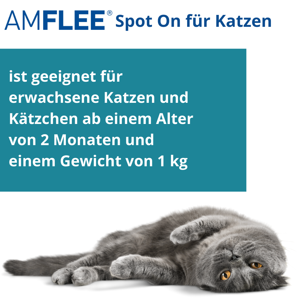 Amflee Spot-on für Katzen und Kätzchen ab 2 Monaten und einem Körpergewicht ab 1kg.