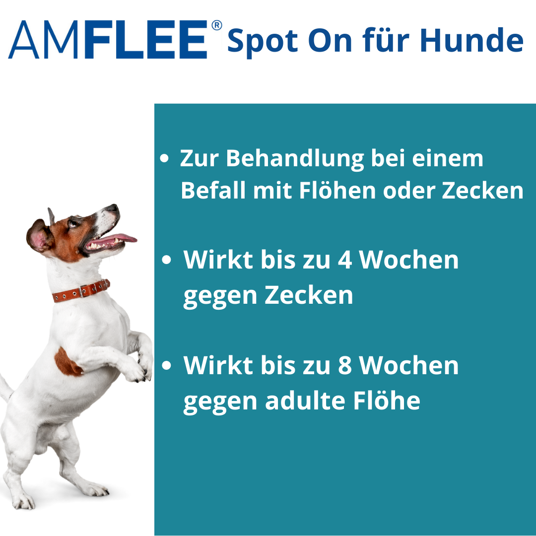Amflee Spot-on für Hunde zur Behandlung gegen Flöhe und Zecken.