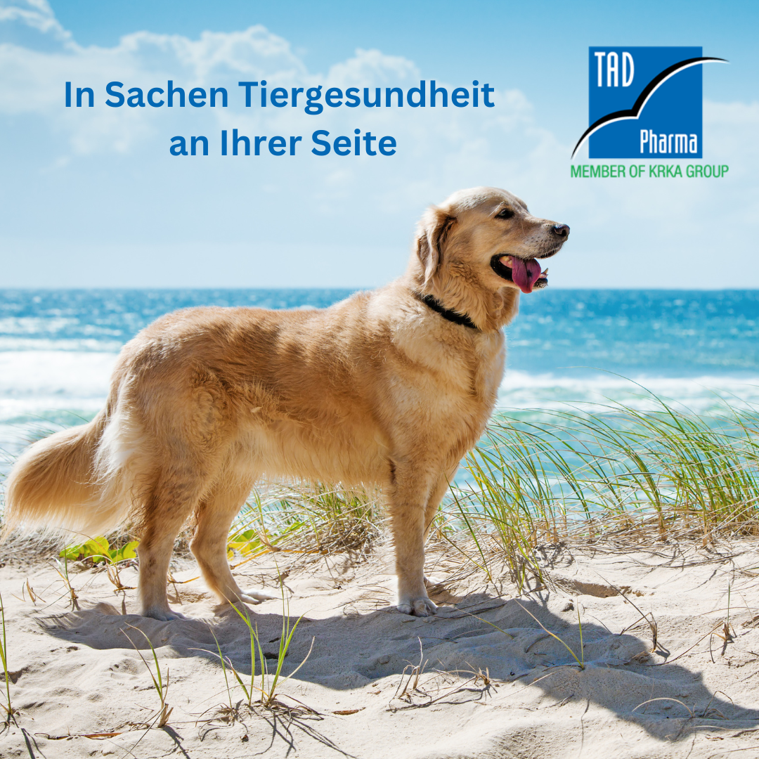 Tiergesundheit ist Leidenschaft.