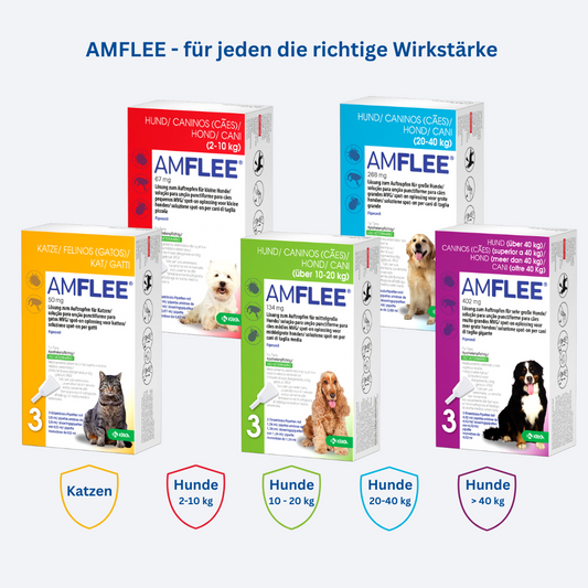 Amflee Spot-on für Katzen und Hunde gegen Flöhe, Zecken und Haarlinge, für jeden die richtige Wirkstärke.