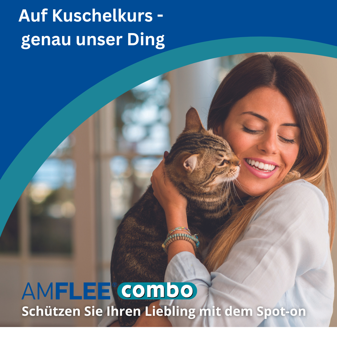 Amflee Combo macht kuscheln so einfach.