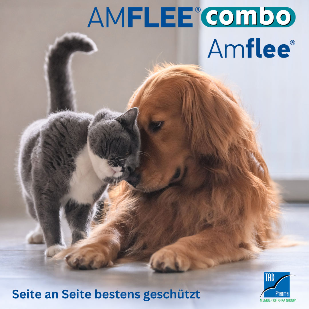 Amflee Combo für unsere Fellnasen.