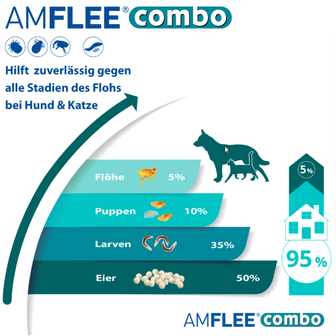 Amflee Combo hilft gegen alle Stadien des Flohs.