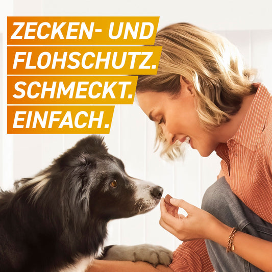 FRONTPRO® Kautablette von Boehringer/Ingelheim  gegen Zecken und Flöhe  bei Hunden (2-4kg) PZN 18654274